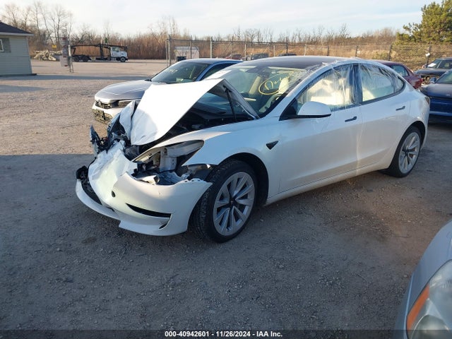 2023 TESLA MODEL 3 5YJ3E1EA6PF559537 Photo 1