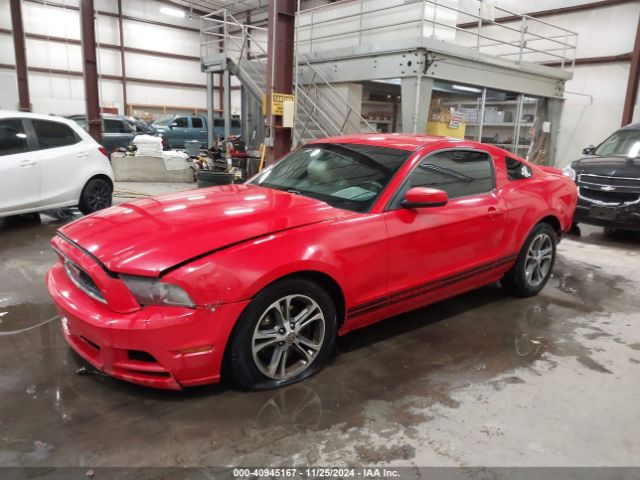 1ZVBP8AMXE5265097 Ford Mustang V6 Premium