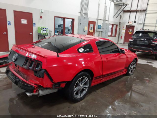 1ZVBP8AMXE5265097 Ford Mustang V6 Premium