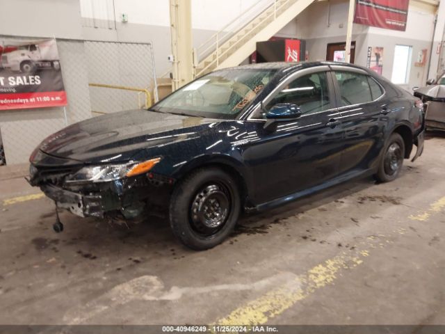 4T1C31AKXMU024214 Toyota Camry Le Hybrid