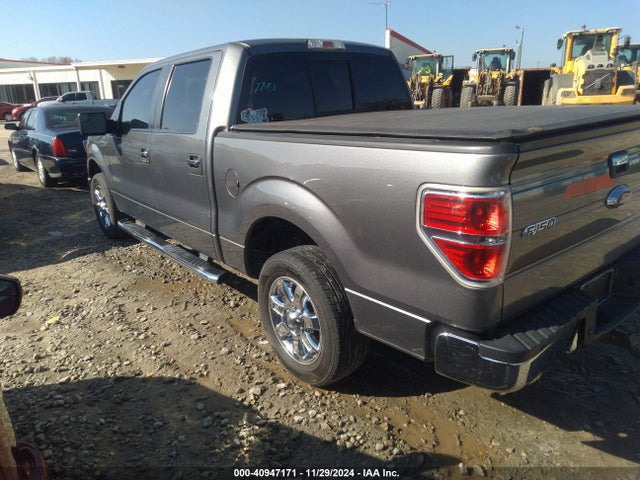 40947171 :رقم المزاد ، 1FTFW1CF2DFC46128 vin ، 2013 Ford F-150 Xlt مزاد بيع