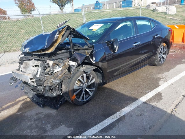 Nissan Maxima 3.5 Sl 2016 1N4AA6AP8GC434875 Image 2