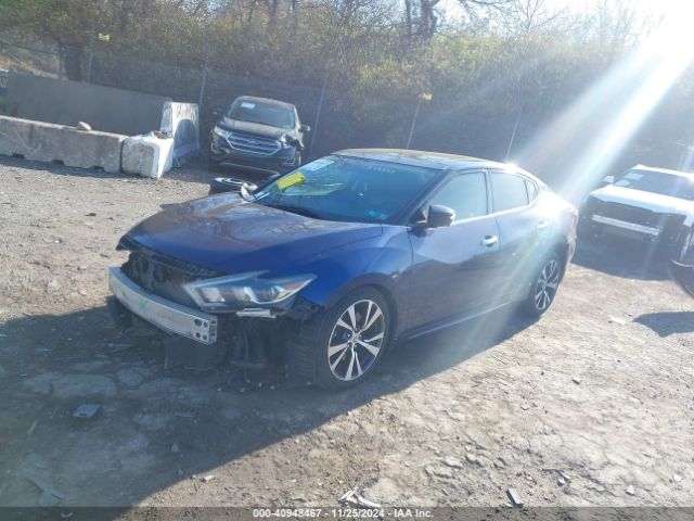 1N4AA6AP6GC379343 Nissan Maxima 3.5 Platinum/3.5 S/3.5 Sl/3.5 Sr/3.5 Sv