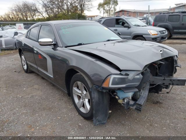 2C3CDXBG7EH245406 auction archive image