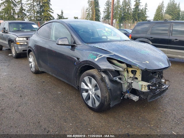 2024 TESLA MODEL Y 7SAYGDEE9RF015849 Photo 0