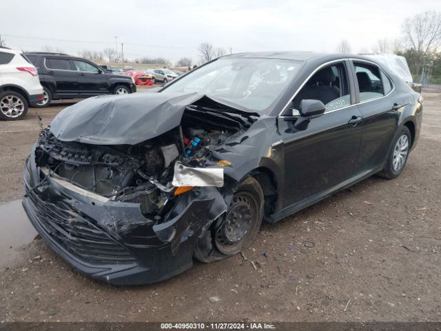 4T1C31AK0LU535879 Toyota Camry Le Hybrid