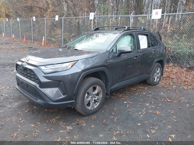 Toyota Rav4 Xle 2023 2T3P1RFV6PC337850 Image 2