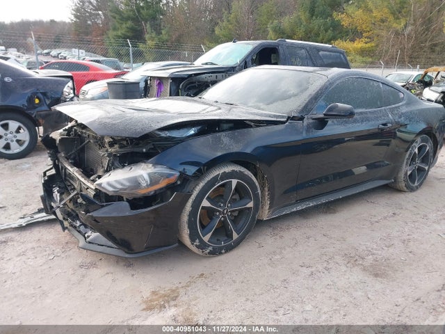 Ford Mustang Ecoboost 2019 1FA6P8TH7K5101960 Image 2