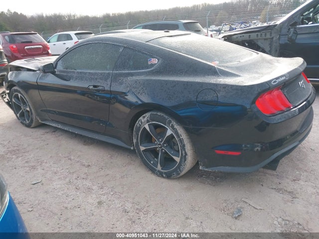 Ford Mustang Ecoboost 2019 1FA6P8TH7K5101960 Image 3