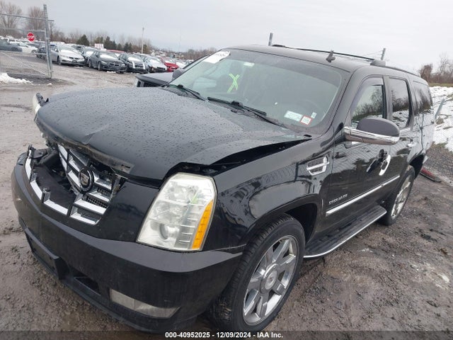 2010 CADILLAC ESCALADE 1GYUKBEF6AR169337 Photo 1