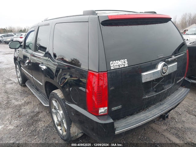 2010 CADILLAC ESCALADE 1GYUKBEF6AR169337 Photo 2