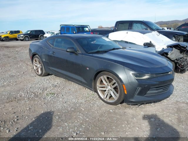 1G1FB1RS6G0161678 auction archive image
