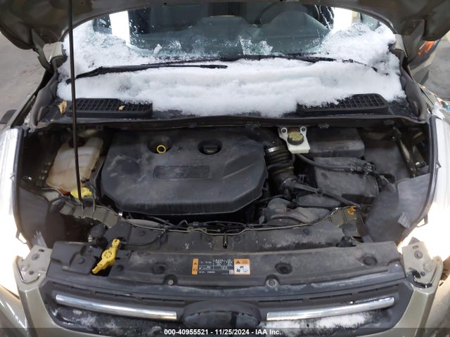 Ford ESCAPE SE 2014 1FMCU9G92EUB08755 Image 10
