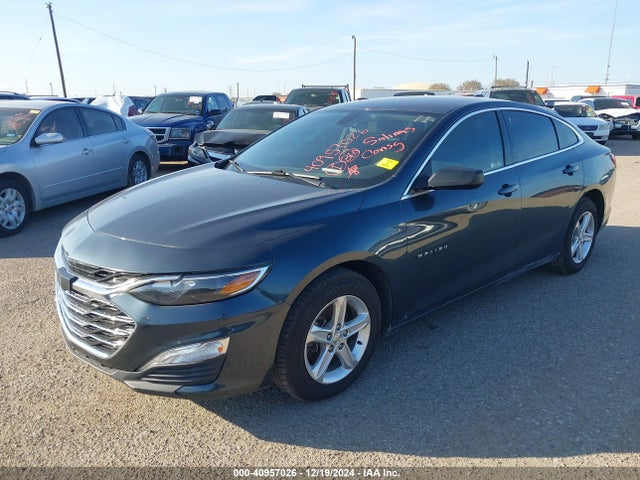 Chevrolet Malibu 1ls 2019 1G1ZB5ST3KF220201 Image 2