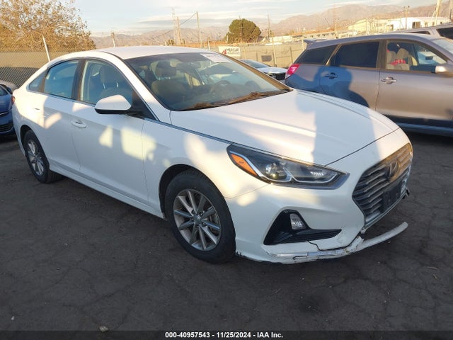 2019 5NPE24AF6KH794048 main image