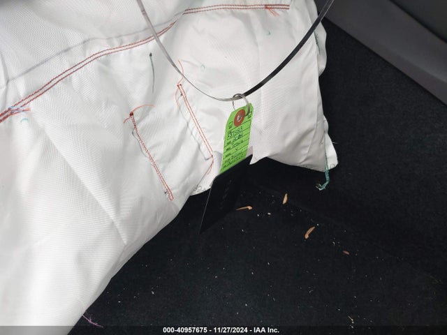 2024 TESLA MODEL Y 7SAYGDEF7RA264513 Photo 10