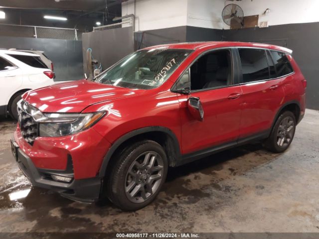 5FNYF8H55NB025047 Honda Passport Awd Ex-l