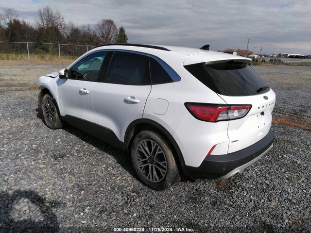 Ford ESCAPE SEL 2020 1FMCU9H60LUA25293 Image 3