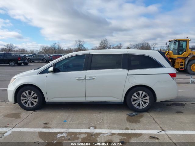 5FNRL5H6XFB022067 Honda Odyssey Ex-l