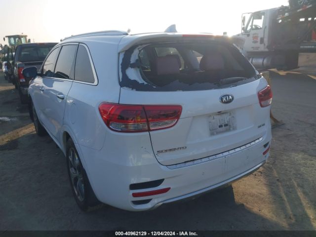5XYPK4A51HG317589 KIA Sorento 3.3l Sx