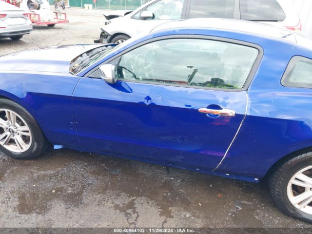 1ZVBP8AM1E5274187 Ford Mustang V6