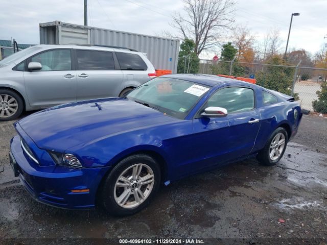 1ZVBP8AM1E5274187 Ford Mustang V6