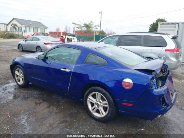 1ZVBP8AM1E5274187 Ford Mustang V6