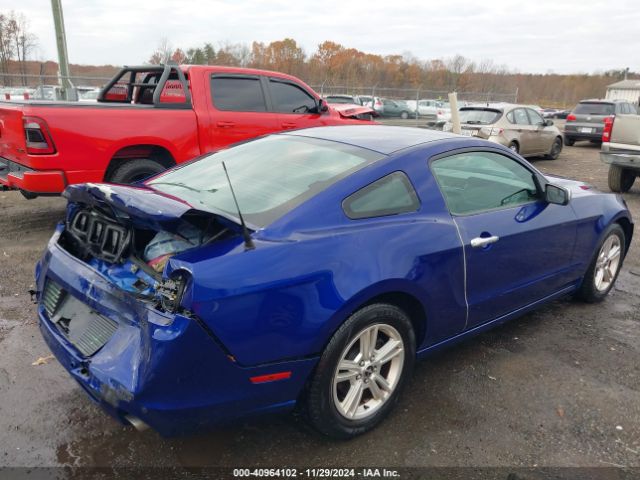 1ZVBP8AM1E5274187 Ford Mustang V6