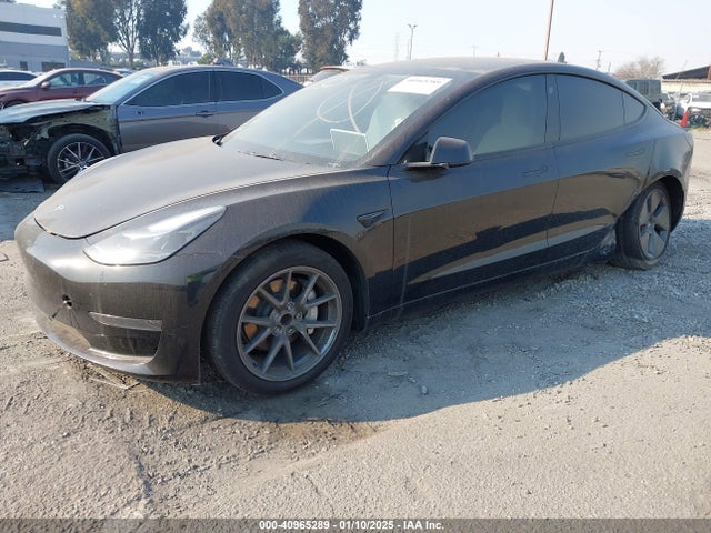 2023 TESLA MODEL 3 5YJ3E1EA2PF584631 Photo 1