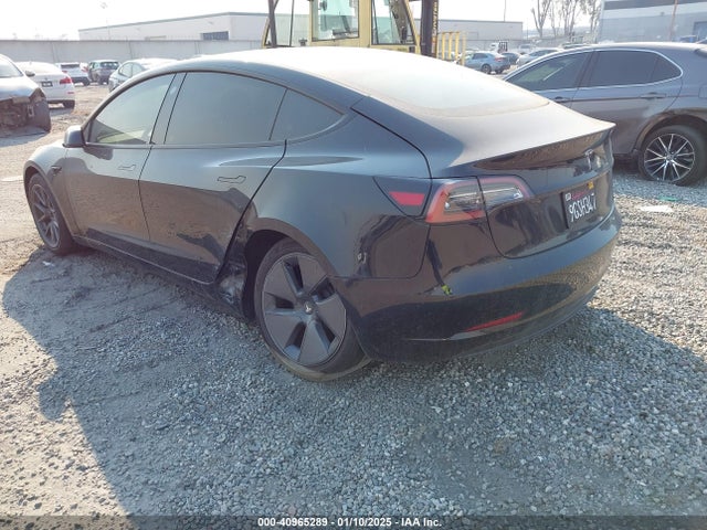 2023 TESLA MODEL 3 5YJ3E1EA2PF584631 Photo 2