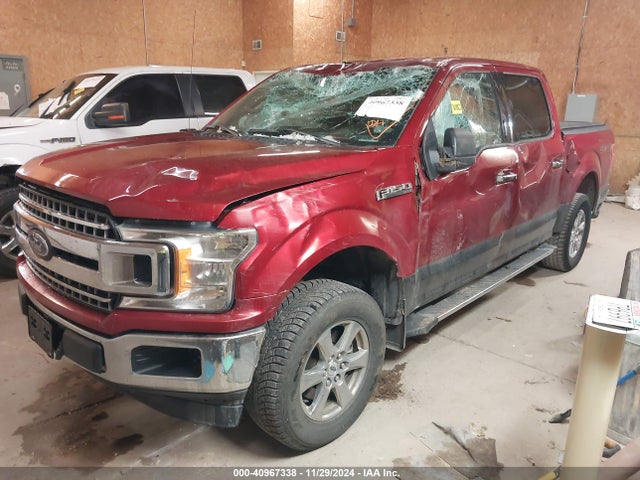 Ford F-150 Xlt 2019 1FTEW1E5XKFA41508 Image 2