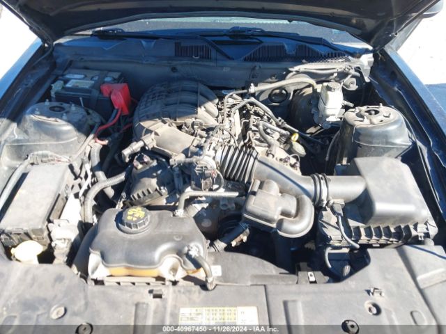 1ZVBP8AMXE5319532 Ford Mustang V6