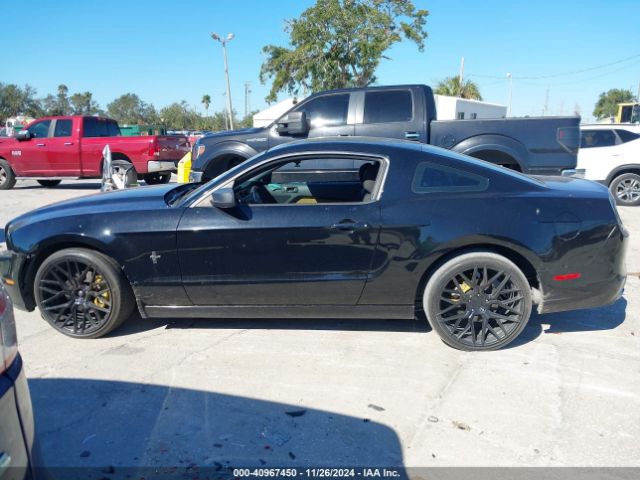 1ZVBP8AMXE5319532 Ford Mustang V6