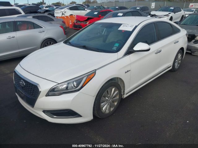 KMHE24L18GA036613 Hyundai Sonata Hybrid Se