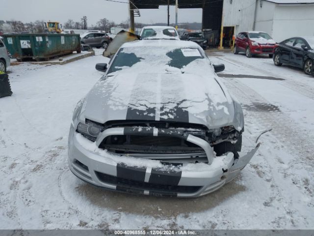 1ZVBP8AM2E5253977 Ford Mustang V6