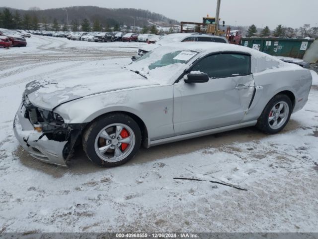 1ZVBP8AM2E5253977 Ford Mustang V6