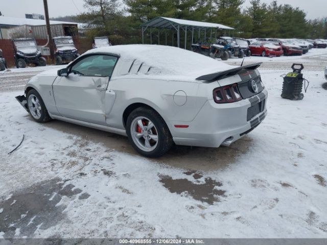 1ZVBP8AM2E5253977 Ford Mustang V6