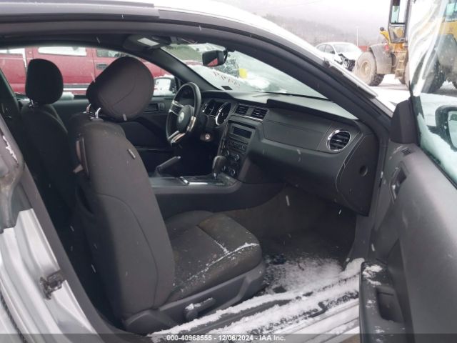 1ZVBP8AM2E5253977 Ford Mustang V6