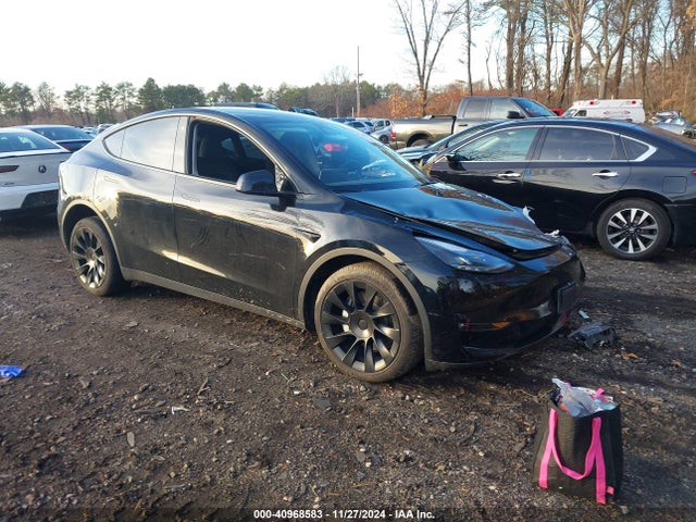 2023 TESLA MODEL Y 7SAYGDEE7PF688703 Photo 0
