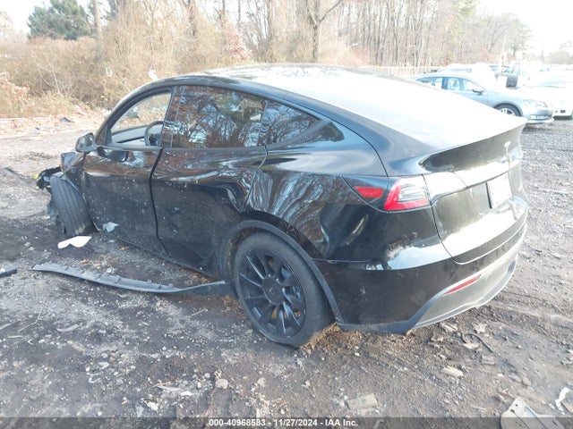 2023 TESLA MODEL Y 7SAYGDEE7PF688703 Photo 2