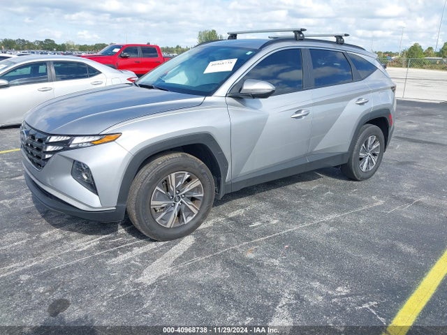 KM8JBCA10PU096864 Hyundai Tucson Hybrid Blue