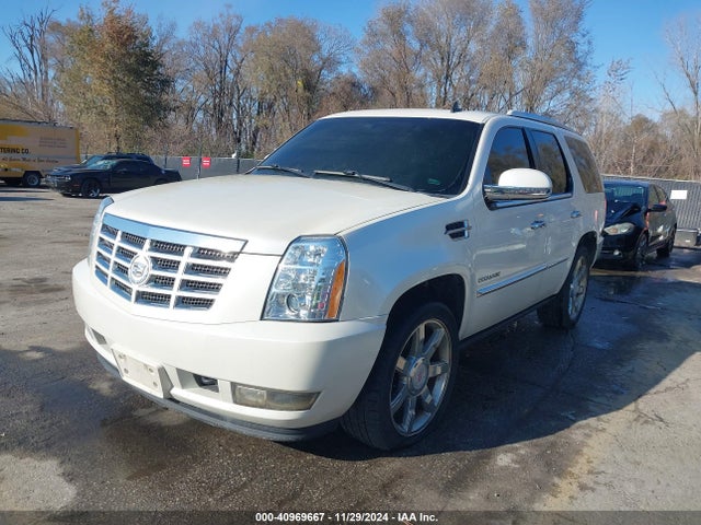2011 CADILLAC ESCALADE 1GYS4CEF6BR399114 Photo 1