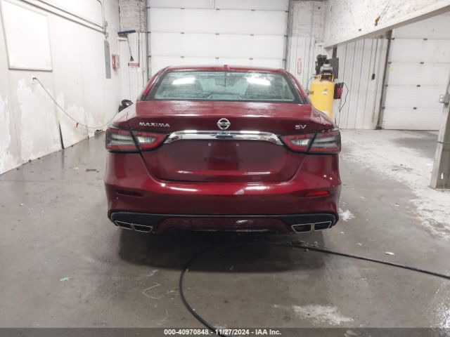 1N4AA6CV4MC509871 Nissan Maxima Sv Xtronic Cvt