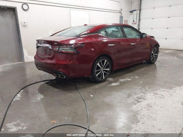 1N4AA6CV4MC509871 Nissan Maxima Sv Xtronic Cvt