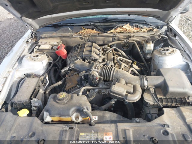 Ford Mustang V6 2014 1ZVBP8AM4E5211777 Image 10