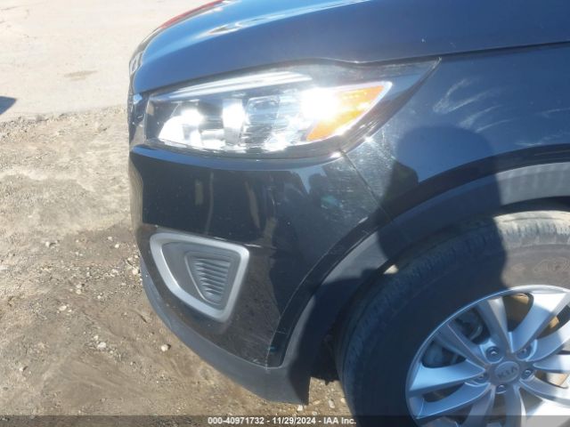 5XYPG4A35HG288291 KIA Sorento 2.4l L