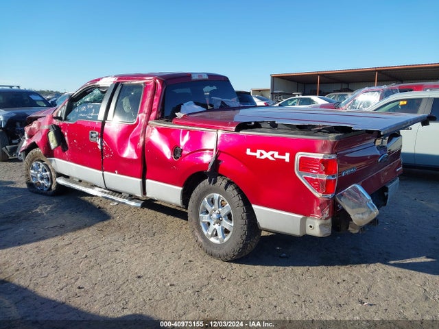 Ford F-150 Xlt 2014 1FTFX1EFXEFA59800 Image 3