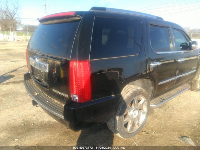 2010 CADILLAC ESCALADE 1GYUKBEF8AR148666 Photo 3