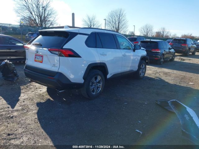 2T3RWRFV8RW251032 Toyota Rav4 Hybrid Xle
