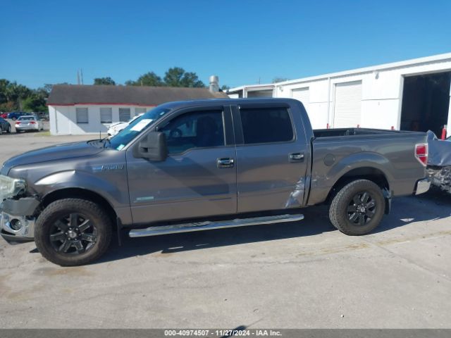 1FTFW1CT7EKE46663 Ford F-150 Xlt